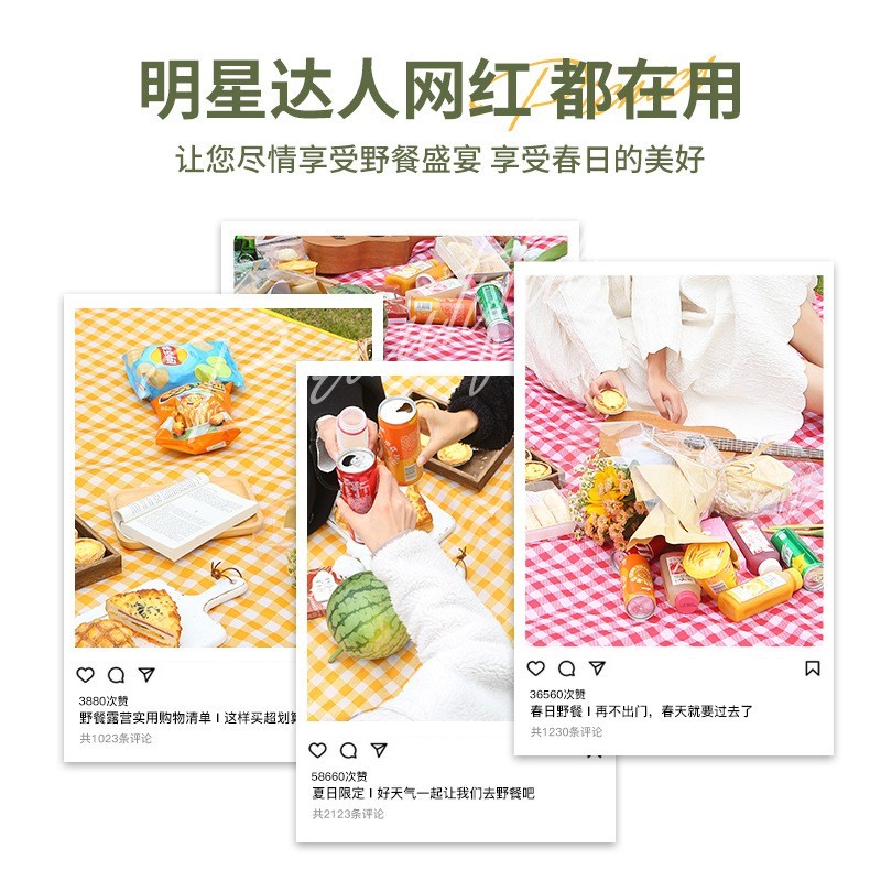 野餐垫防潮垫加厚野餐布户外用品便携防水野炊郊游帐篷垫露营垫子图4