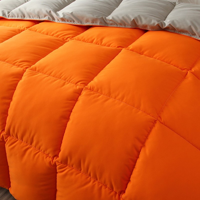 跨境亚马逊被芯被子保暖春秋被羽丝绒防跑绒纯色双拼抗菌被欧美风图2