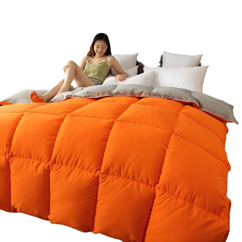 跨境亚马逊被芯被子保暖春秋被羽丝绒防跑绒纯色双拼抗菌被欧美风图5