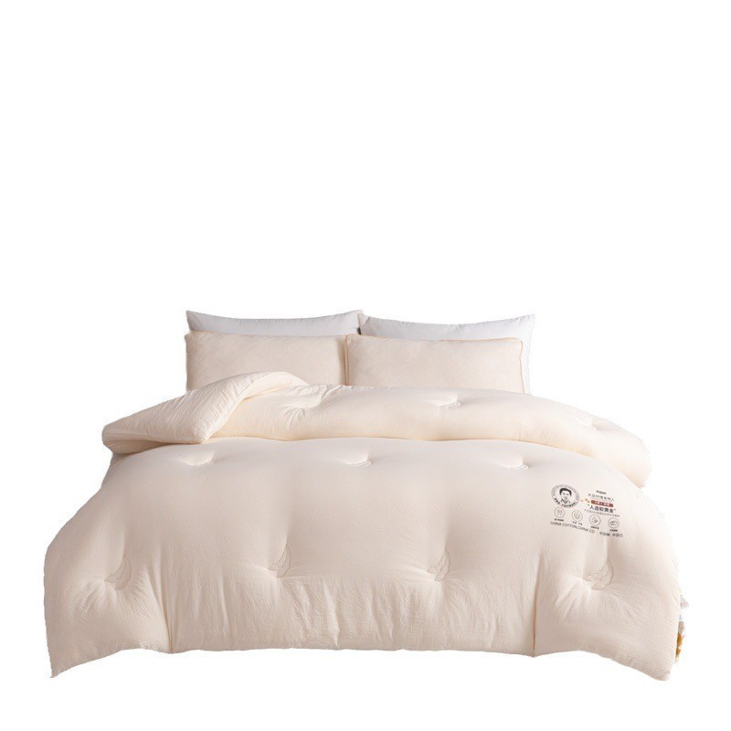 大豆纤维被芯大豆子母被夏凉被加厚保暖冬季被春秋被子图5