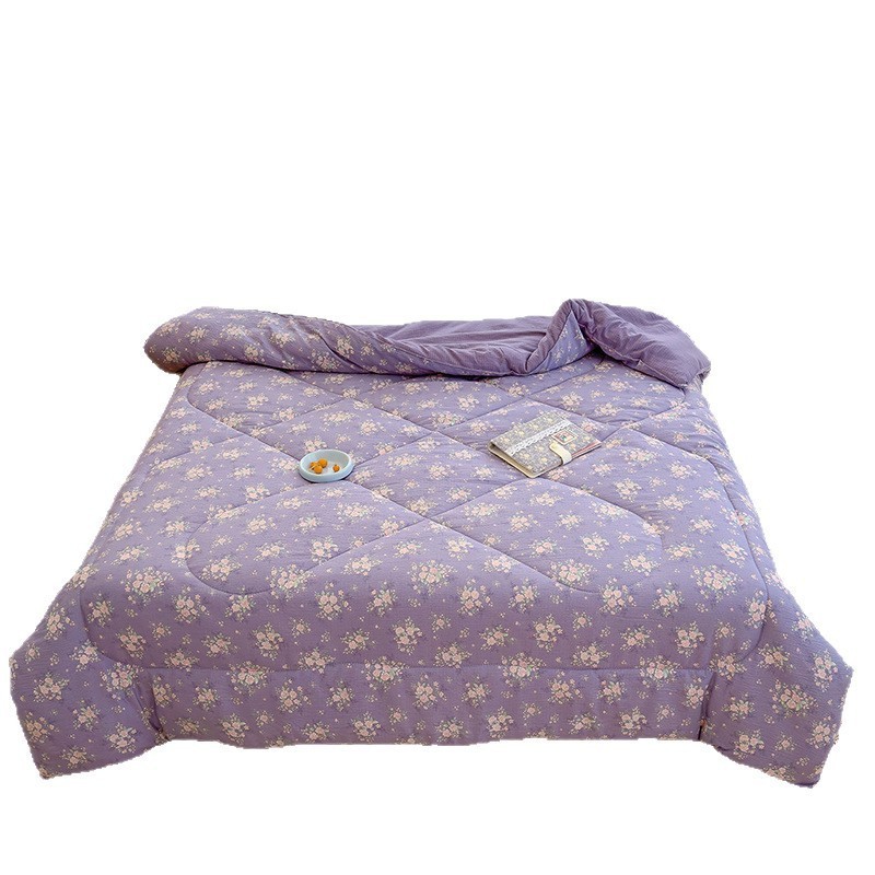 a类双层纱冬被春秋被子加厚保暖学生宿舍被芯褥子厂家图3