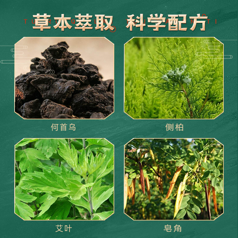 植物养发保健粉代加厂家贴牌泡沫丰富养生馆人参生姜固发洗发oem贴牌定制图4